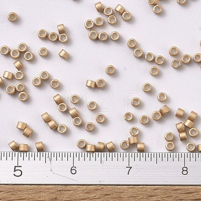 MIYUKI Delica Beads X-SEED-J020-DB1152-1