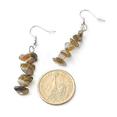 Natural Labradorite Chip Beads Dangle Earrings EJEW-JE04649-07-1