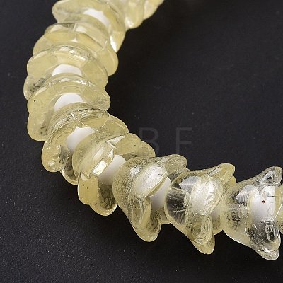 Transparent Glass Beads Strands LAMP-H061-01C-05-1