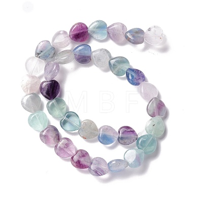 Natural Fluorite Beads Strands G-B022-06B-1