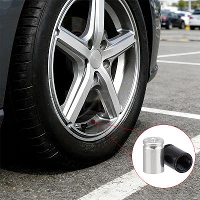 16Pcs 2 Colors Aluminum Alloy Tire Valve Caps AJEW-CN0008-01-1