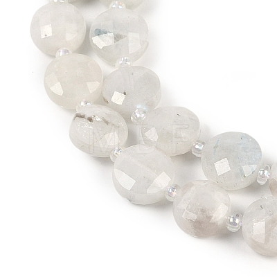 Natural Rainbow Moonstone Beads Strands G-B094-A06-01-1