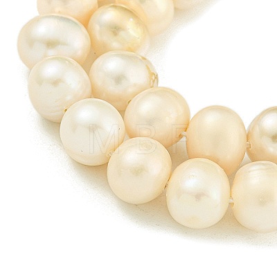 Natural Cultured Freshwater Pearl Beads Strands PEAR-C003-09F-1