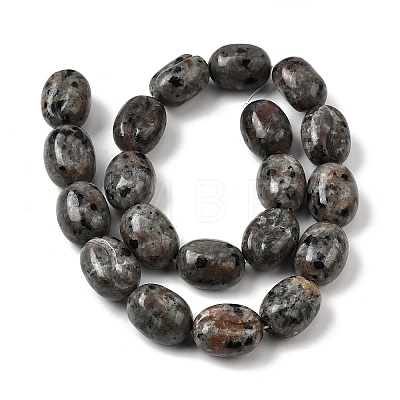 Natural Fluorescent Syenite Rock(Glow under UV Light)  Beads Strands G-K362-D02-03-1