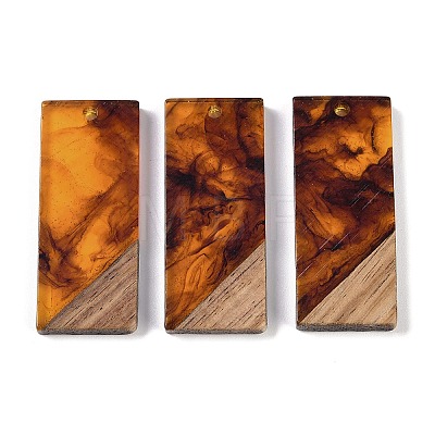 Resin & Wood Pendants WOOD-F015-09A-1