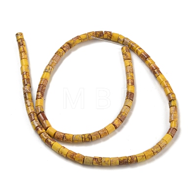 Natural Imperial Jasper Beads Strands G-P460-06F-1