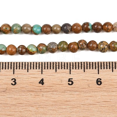 Natural Turquoise Beads Strands G-Z163-B02-4mm-1