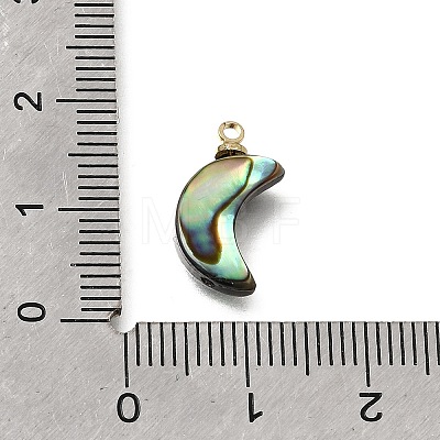 Natural Abalone Shell Pendants SH-CJC0AC7-01E-G-1
