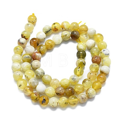 Natural Yellow Opal Beads Strands G-K245-A07-B02-1