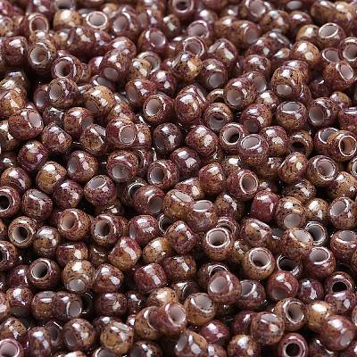 TOHO 6/0 Round Beads SEED-XTR06-1203-1