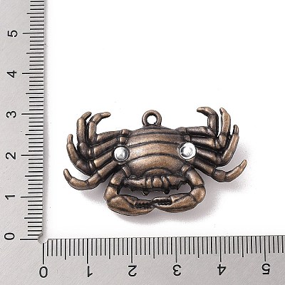 Tibetan style Alloy Pendants FIND-M021-18R-1