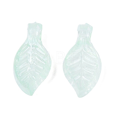 Imitation Jelly Transparent Acrylic Pendants JACR-T004-01M-01-1