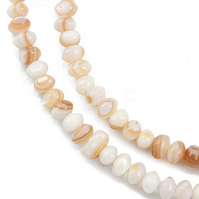 Natural Freshwater Shell Beads Strands SHEL-G013-03A-1