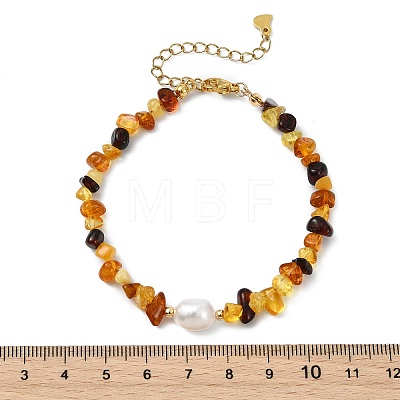 Natural Amber Chips Beaded Stretch Bracelets for Women BJEW-JB13716-1