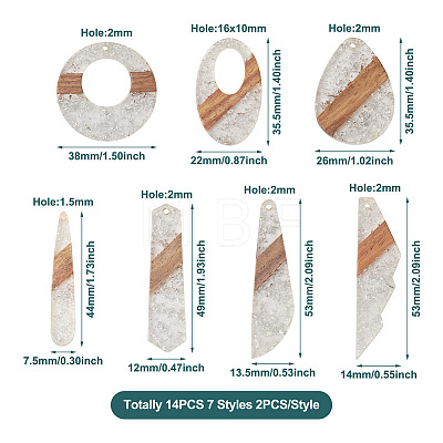 14Pcs 7 Styles Transparent Resin & Walnut Wood Pendants RESI-BY0001-06-1