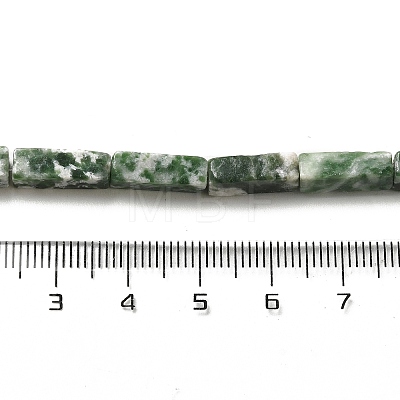 Natural Green Spot Jasper Beads Strands G-G873-A03-01-1