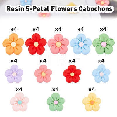 48Pcs 12 Colors Opaque Resin Cabochons RESI-HY0001-02-1