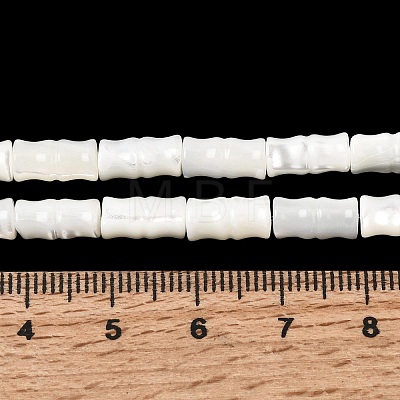 Natural Trochid Shell/Trochus Shell Beads Strands SHEL-A006-06A-1