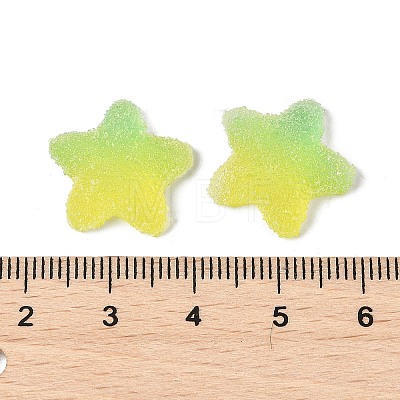 Imitation Candy Food Style Resin Cabochons RESI-R461-02M-1