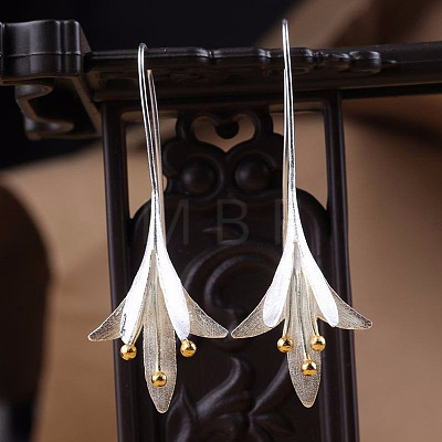 Valentine's Day Alloy Dangle Earrings WGA07D2-01-1