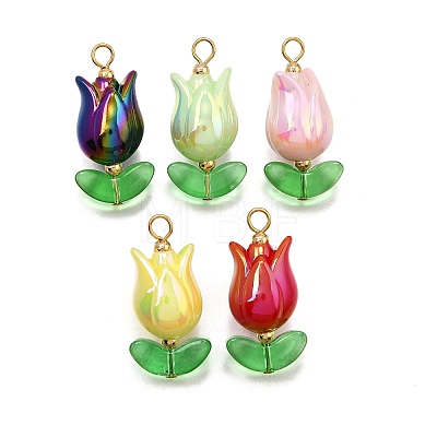 UV Plated Acrylic Pendants X1-PALLOY-TA00270-1