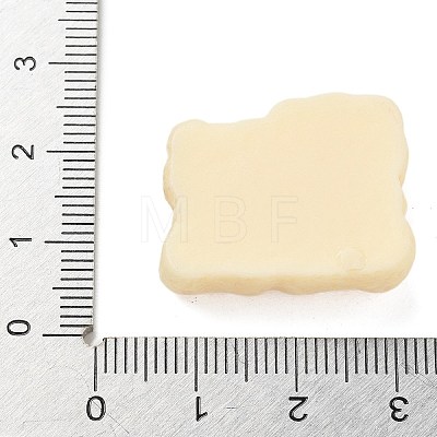 Resin Cabochons RESI-R456-06F-1