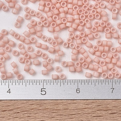 MIYUKI Delica Beads SEED-J020-DB1513-1
