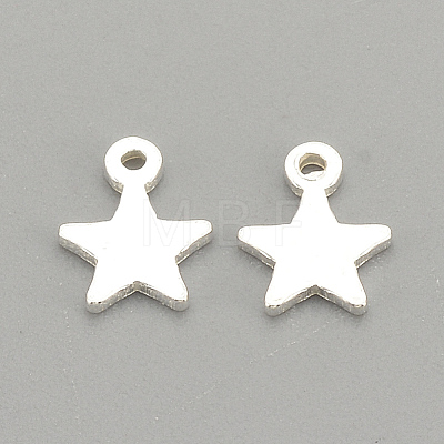 925 Sterling Silver Charms STER-S002-30-1
