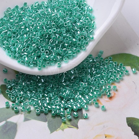 MIYUKI Delica Beads SEED-X0054-DB0238-1