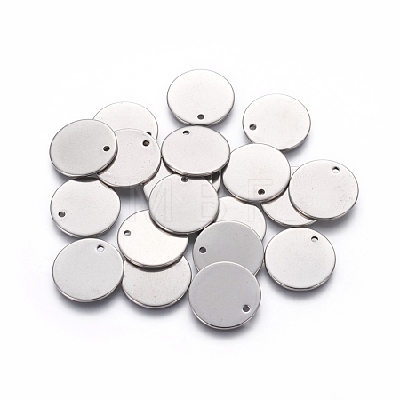 Tarnish Resistant 304 Stainless Steel Charms X-STAS-L234-081C-1
