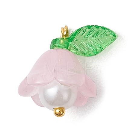 Glass Pendants PALLOY-MZ00837-01-1