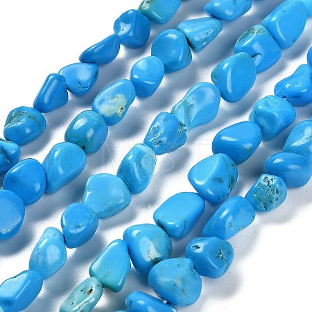 Natural Howlite Beads Strands G-P497-01E-37-1