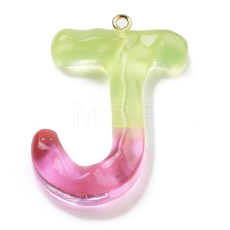 Resin Pendant FIND-Q107-01J-03-1