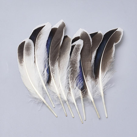 Feather Costume Accessories X-FIND-Q046-15F-1