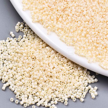 FGB 11/0 Grade A Glass Seed Beads SEED-S030-1012-1