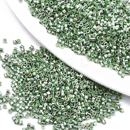 FGB 11/0 Grade A Glass Seed Beads X-SEED-S030-1217-1