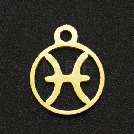 201 Stainless Steel Charms STAS-T014-LA111-12-1
