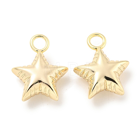 Brass Pendants KK-L211-009G-03-1