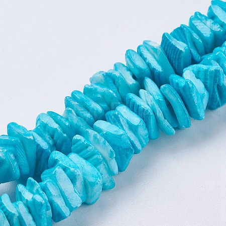 Natural Sea Shell Beads Strands X-BSHE-K012-08C-1