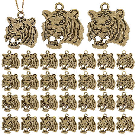 Tibetan Style Alloy Pendanrs FIND-WH0199-392AB-1