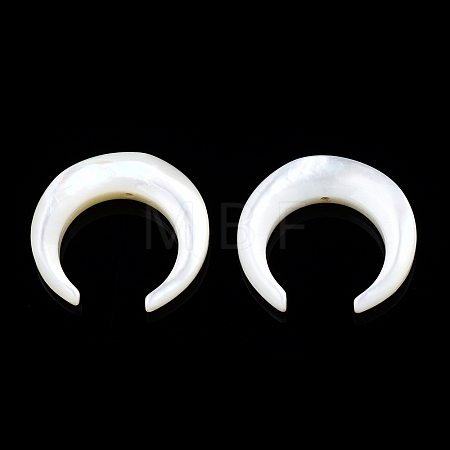Natural White Shell Beads SSHEL-N034-122A-03-1