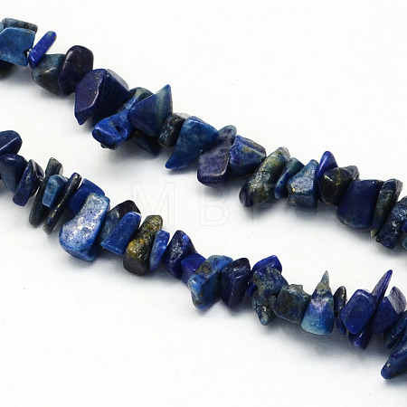 Dyed Natural Lapis Lazuli Stone Bead Strands G-R192-A08-1