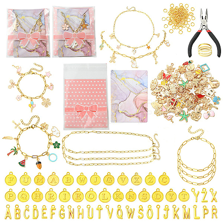 DIY Bracelet/Necklaces Makings Kits DIY-YW0018-26-1
