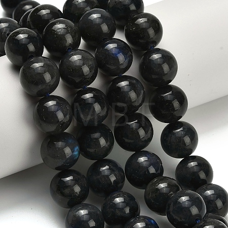 Natural Black Labradorite Beads Strands G-L642-B15-14mm-1