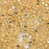 Glass Seed Beads SEED-M011-01B-11-4