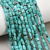 Dyed Natural Crackle Turquoise Beads Strands G-K365-G03-02-2