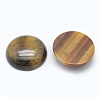 Natural Tiger Eye Cabochons G-E492-F-01-2