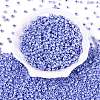 Glass Seed Beads SEED-A011-3mm-146-2