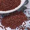 MIYUKI Delica Beads SEED-J020-DB0794-1