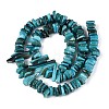 Natural Freshwater Shell Beads Strands SHEL-T020-40D-2